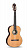 Классическая гитара Alhambra 8.213 Flamenco Conservatory 5Fp OP Pinana